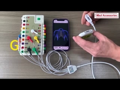 ホルターケーブル